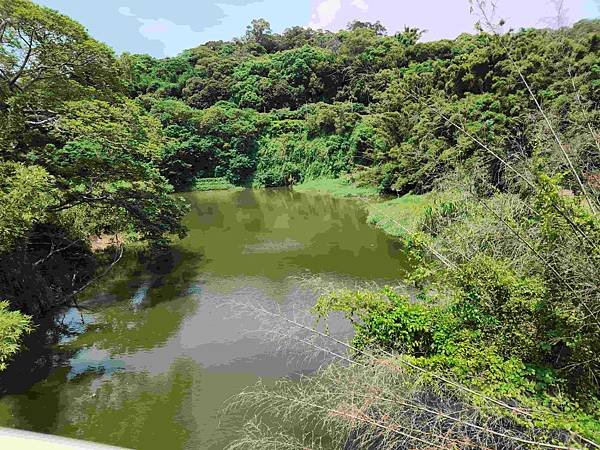 新竹青草湖鳳凰橋于飛島(鳳凰于飛)~~~新竹八景之一
