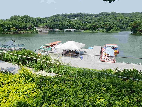 新竹青草湖鳳凰橋于飛島(鳳凰于飛)~~~新竹八景之一