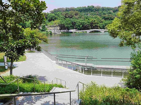新竹青草湖鳳凰橋于飛島(鳳凰于飛)~~~新竹八景之一