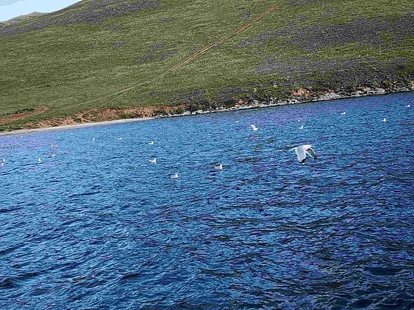 蒙古國&amp;貝加爾湖13天之旅(六) 夜宿奧爾洪島