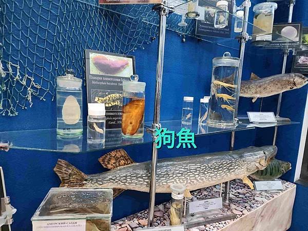 蒙古國&amp;貝加爾湖13天之旅(十一) 俄羅斯利斯特維揚卡貝加爾