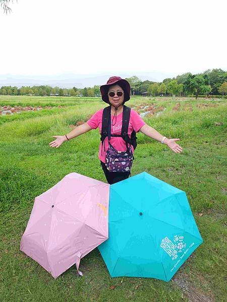 花蓮郵輪式公車四日遊(九)宜蘭冬山波波草轉紅了