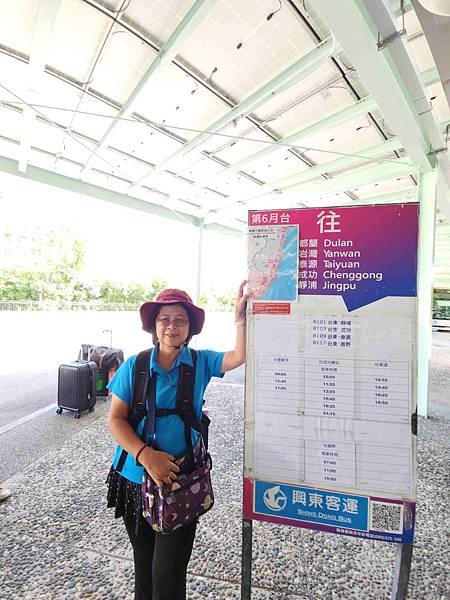 台東秘境景點「金樽陸連島貓洞」天然的貓咪海蝕洞