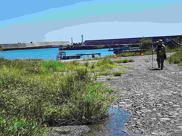 台東秘境景點「金樽陸連島貓洞」天然的貓咪海蝕洞