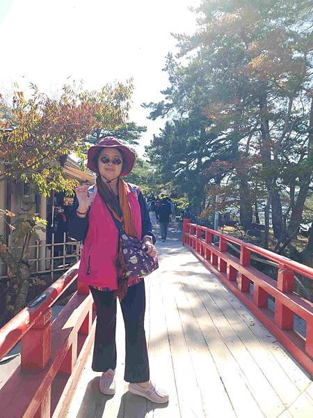 日本東北紅葉之旅(六) 松島灣