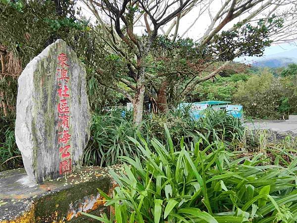 絕美夢幻宜蘭東澳粉鳥林秘境