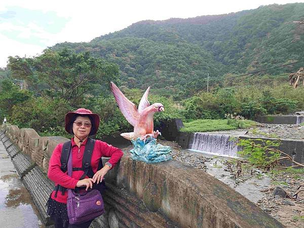 絕美夢幻宜蘭東澳粉鳥林秘境