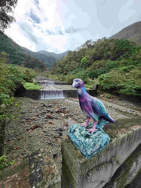 絕美夢幻宜蘭東澳粉鳥林秘境