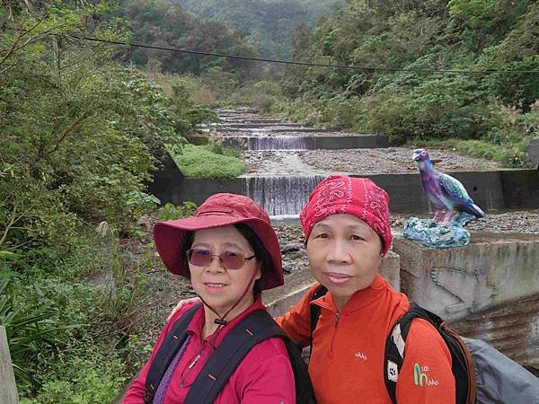 絕美夢幻宜蘭東澳粉鳥林秘境