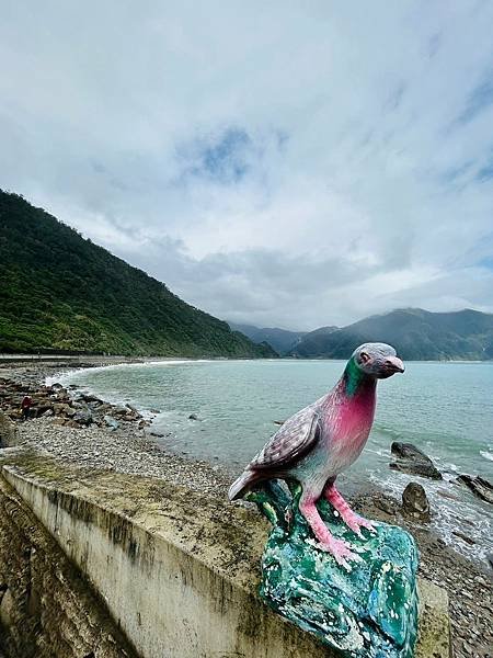 絕美夢幻宜蘭東澳粉鳥林秘境