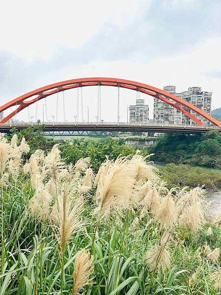 一秒跨越新北市、基隆市的五堵台鐵舊隧道自行車道