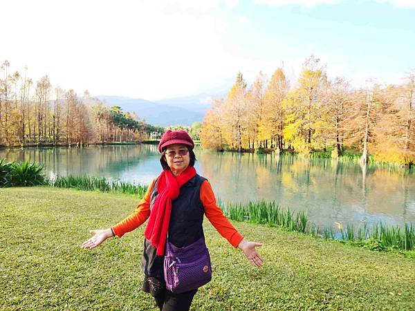 搭乘花蓮郵輪式公車303B(四) 雲山水落羽松圓夢之旅