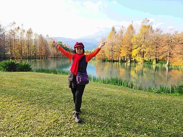 搭乘花蓮郵輪式公車303B(四) 雲山水落羽松圓夢之旅