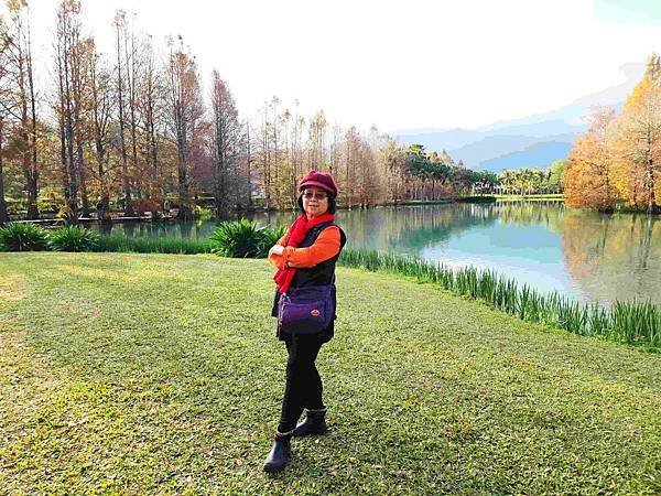 搭乘花蓮郵輪式公車303B(四) 雲山水落羽松圓夢之旅