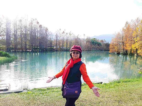 搭乘花蓮郵輪式公車303B(四) 雲山水落羽松圓夢之旅