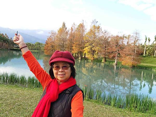搭乘花蓮郵輪式公車303B(四) 雲山水落羽松圓夢之旅