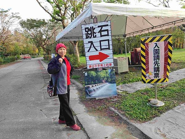 搭乘花蓮郵輪式公車303B(四) 雲山水落羽松圓夢之旅