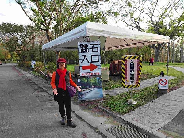 搭乘花蓮郵輪式公車303B(四) 雲山水落羽松圓夢之旅