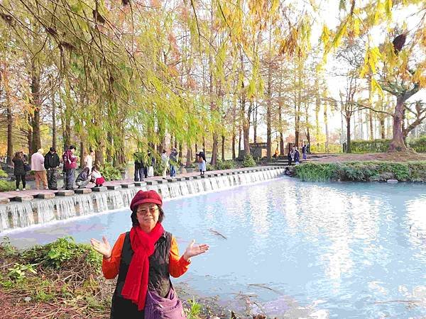 搭乘花蓮郵輪式公車303B(四) 雲山水落羽松圓夢之旅