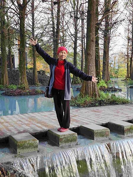 搭乘花蓮郵輪式公車303B(四) 雲山水落羽松圓夢之旅