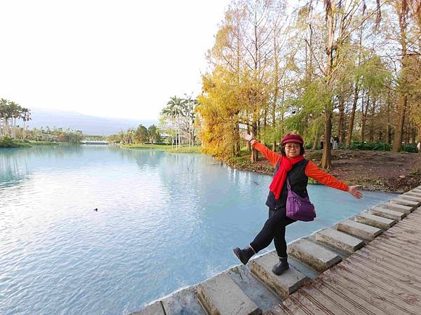 搭乘花蓮郵輪式公車303B(四) 雲山水落羽松圓夢之旅