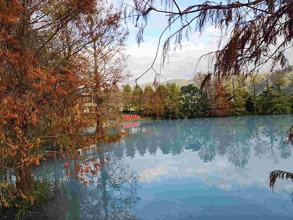 搭乘花蓮郵輪式公車303B(四) 雲山水落羽松圓夢之旅