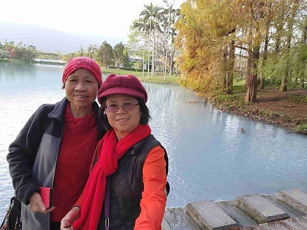 搭乘花蓮郵輪式公車303B(四) 雲山水落羽松圓夢之旅