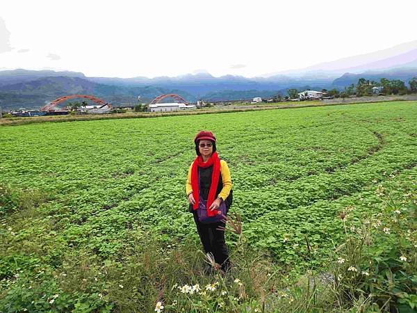 花蓮玉里客城鐵橋美拍