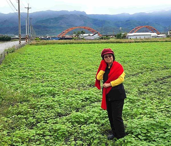 花蓮玉里客城鐵橋美拍