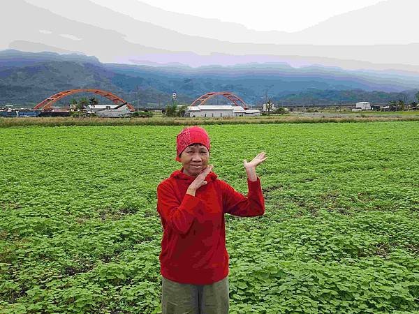 花蓮玉里客城鐵橋美拍