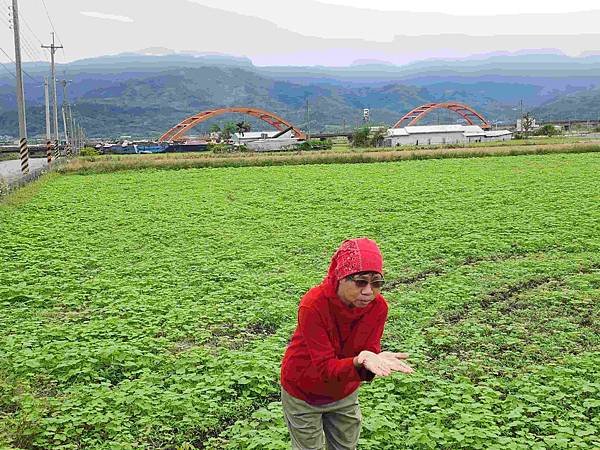 花蓮玉里客城鐵橋美拍