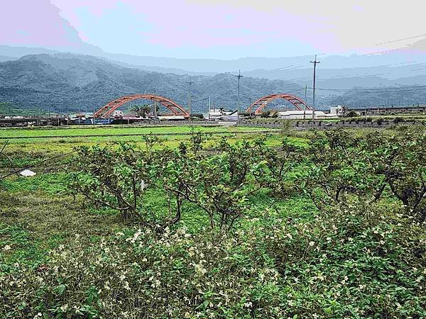 花蓮玉里客城鐵橋美拍