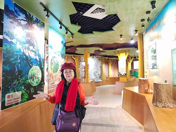 花蓮池南森林國家公園