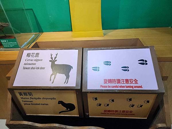 花蓮池南森林國家公園