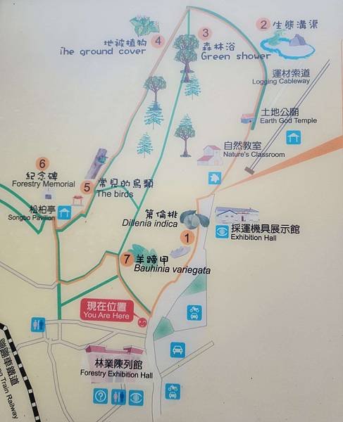 花蓮池南森林國家公園