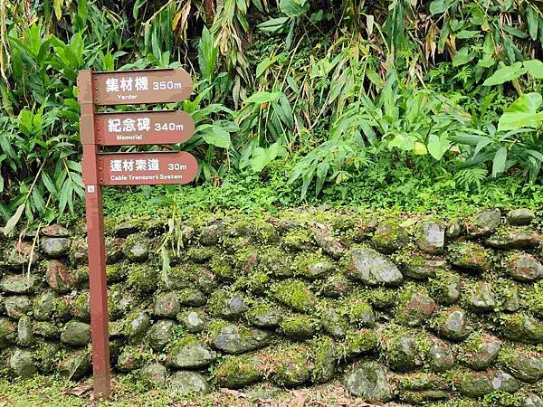 花蓮池南森林國家公園