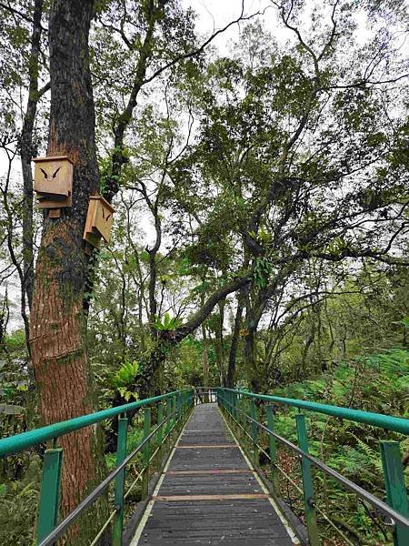 花蓮池南森林國家公園