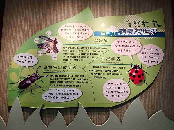 花蓮池南森林國家公園