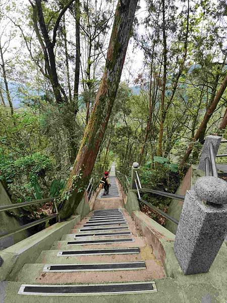 花蓮池南森林國家公園