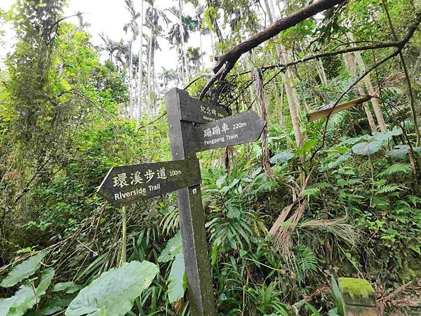 花蓮池南森林國家公園