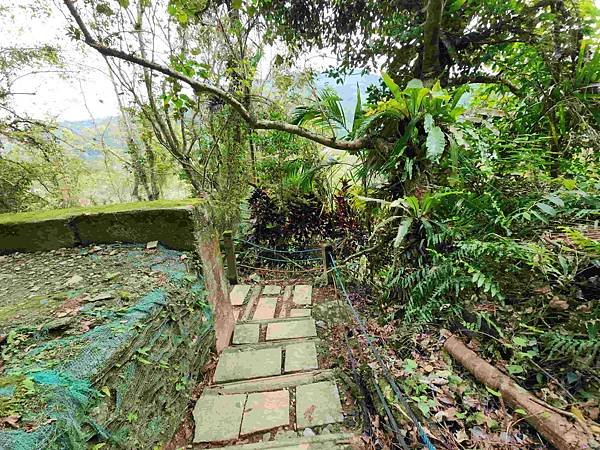 花蓮池南森林國家公園