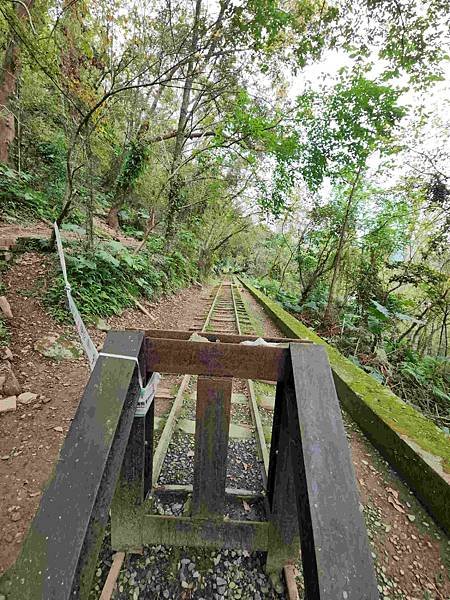 花蓮池南森林國家公園