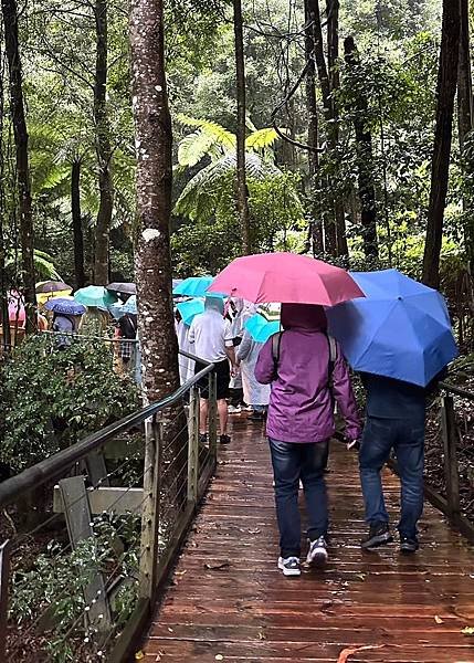 紐澳雙國走透透(三) 搭藍山公園礦坑纜車眺望三姊妹岩&amp;奧林匹