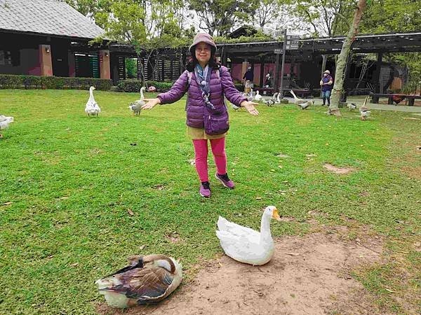 桃園八德埤塘自然生態公園一日遊
