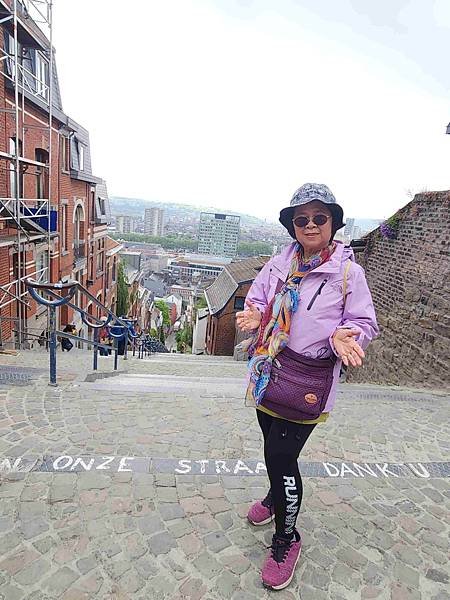荷比法盧15天賞花之旅(十八) 比利時列日古城區~~布倫山階