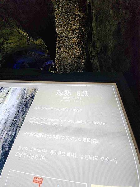 大陸精彩貴州之旅(二) 驚艷織金洞~~中國溶洞之王