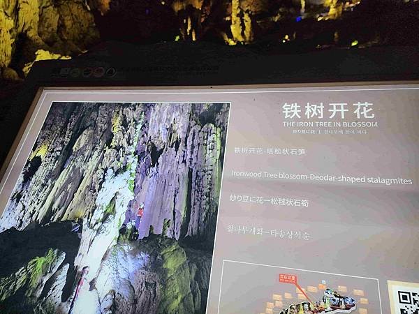 大陸精彩貴州之旅(二) 驚艷織金洞~~中國溶洞之王