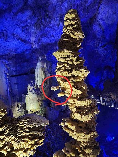 大陸精彩貴州之旅(二) 驚艷織金洞~~中國溶洞之王
