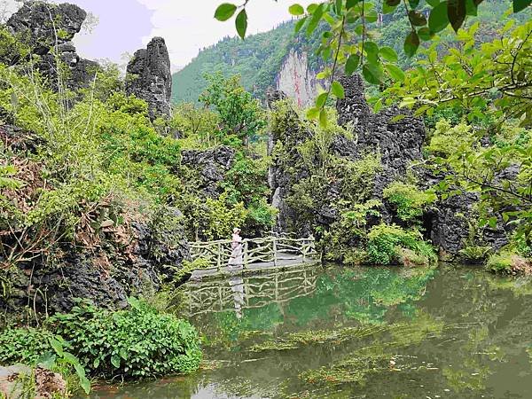 大陸精彩貴州之旅(六) 天興橋景區&amp;陡坡塘瀑布景區