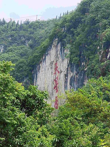 大陸精彩貴州之旅(六) 天興橋景區&amp;陡坡塘瀑布景區